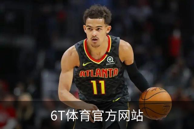 6T体育官方网站公司介绍图